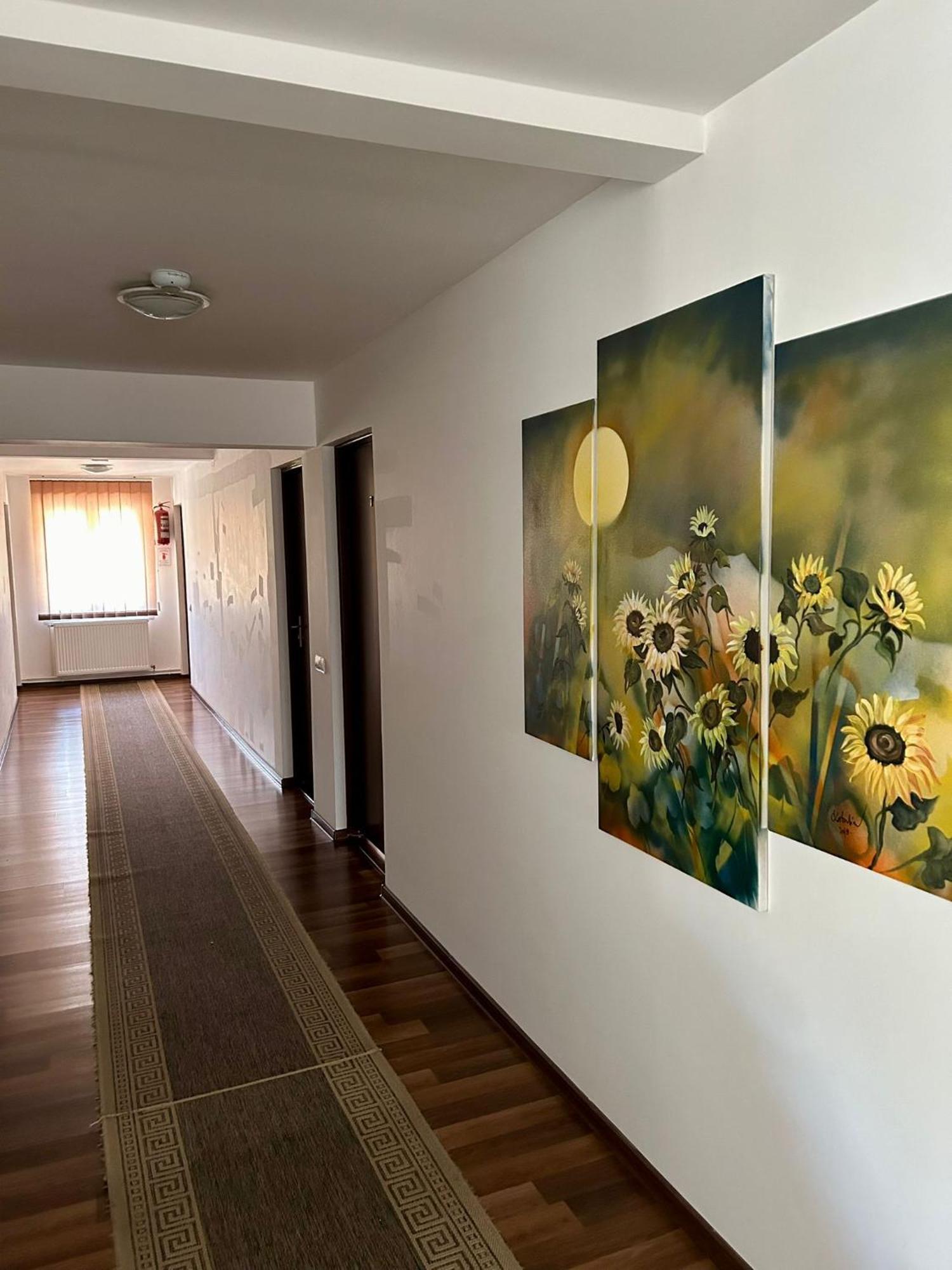 Aranykakas Etterem Es Panzio Bed & Breakfast Sîndominic Екстериор снимка